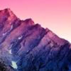 Meet your Posher, Liv, Annie, and ruby